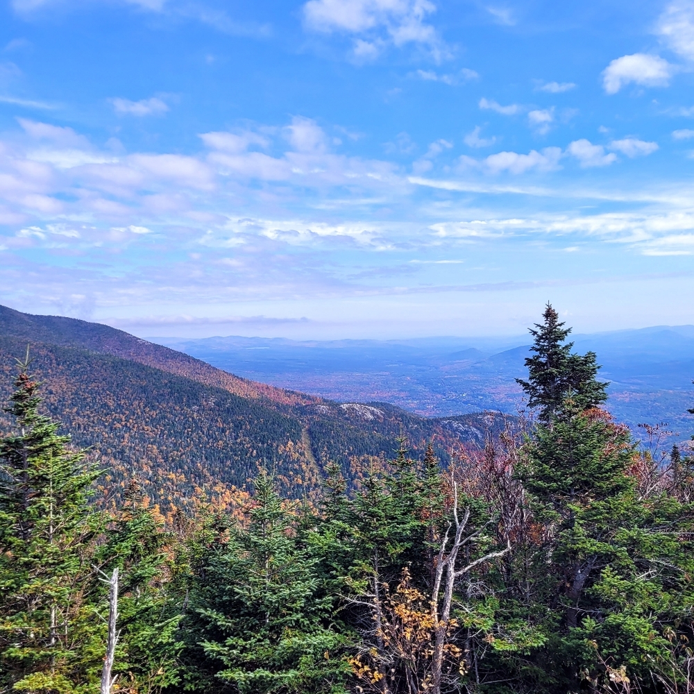 Meet your Posher, Lindsay